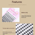 Ten Rows Of W50 False Eyelashes Capacity Segmented Hair