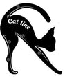 Eye shadow eyeliner makeup tool cat eye card